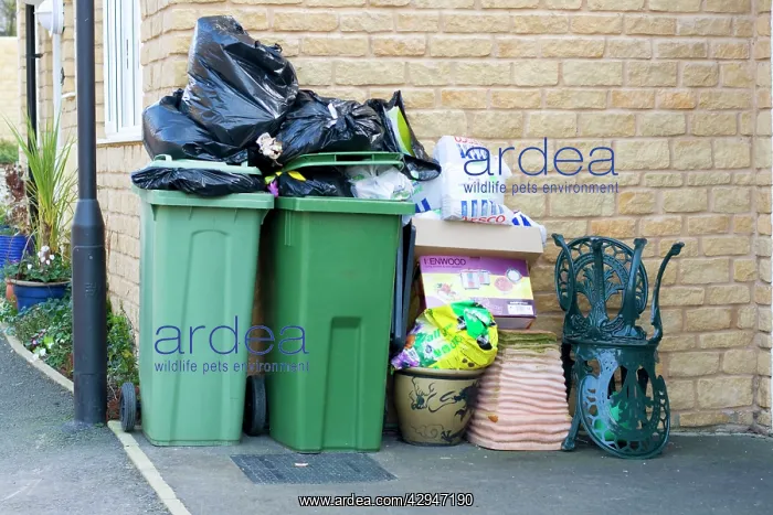 : Overflowing Council waste bins and rubbish bags : Overflowing Council waste bins and rubbish bags