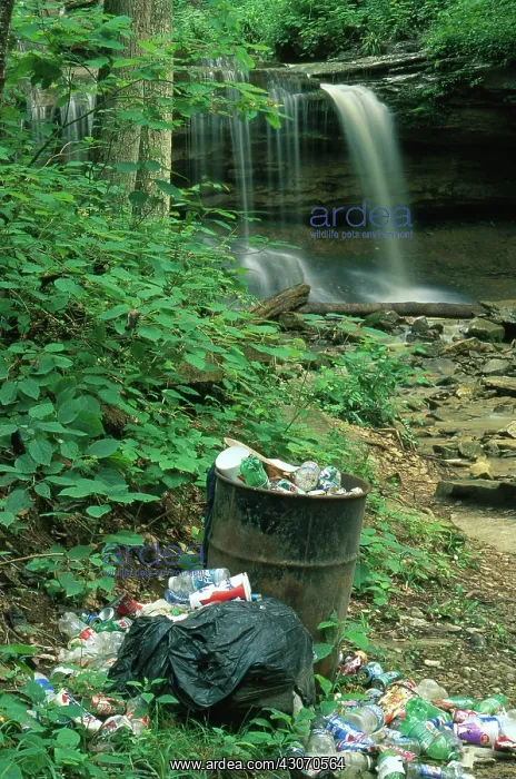 : Overflowing Garbage Can : Overflowing Garbage Can