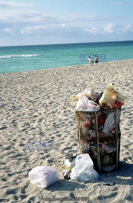 : Overflowing Public Trash Can : Overflowing Public Trash Can