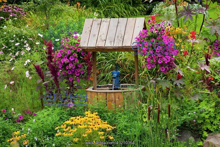 : Overgrown garden with flowers and wishing well : Overgrown garden with flowers and wishing well