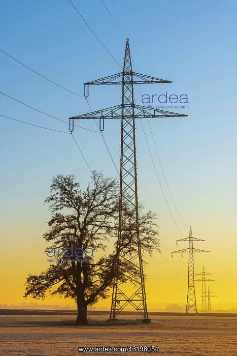  : Overhead lines, high voltage pylons with English