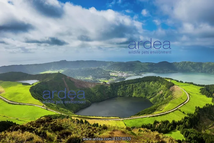 : Overlook over the Sete Cidades crater, Island of : Overlook over the Sete Cidades crater, Island of