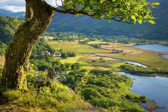 : Overlooking Borrowdale Valley, Derwentwater, Lake : Overlooking Borrowdale Valley, Derwentwater, Lake