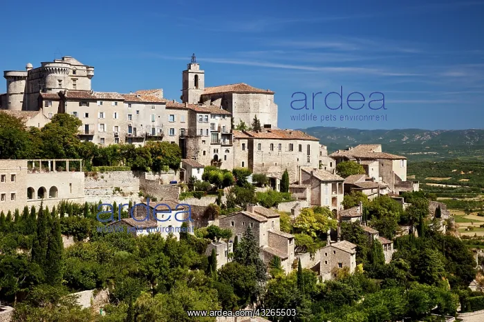 : Overlooking the medieval town of Gordes : Overlooking the medieval town of Gordes