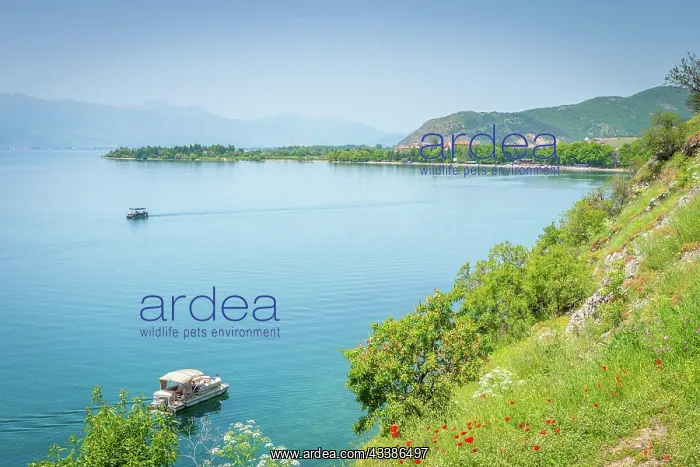 : Overlooking UNESCO World Heritage site Lake Ohrid, N : Overlooking UNESCO World Heritage site Lake Ohrid, N