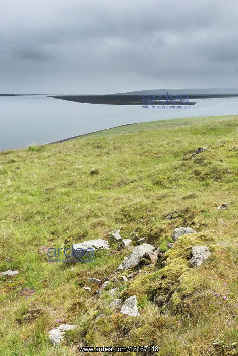 : Overview of cloudy Vatsnes Peninsula : Overview of cloudy Vatsnes Peninsula