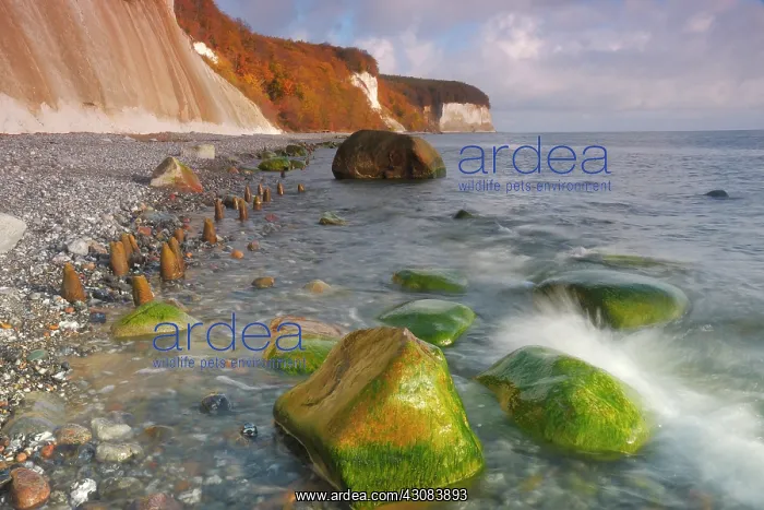 : Overview of coastline with chalk cliffs : Overview of coastline with chalk cliffs