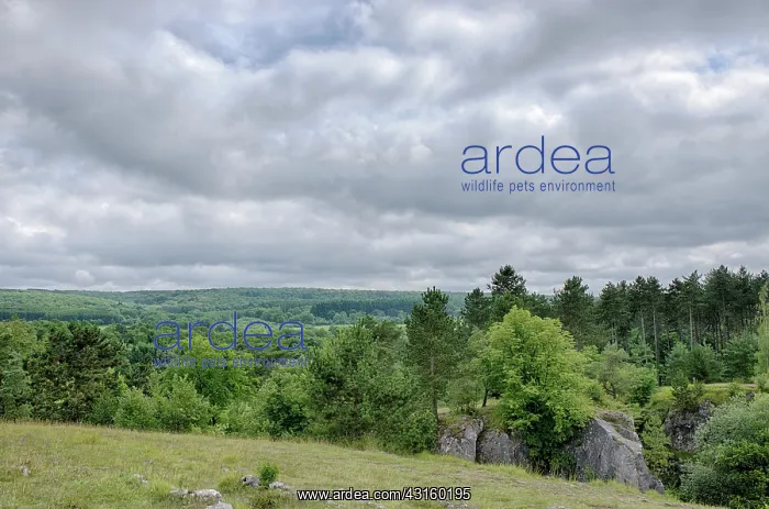 : Overview of a Hill Country on a cloudy afternoon : Overview of a Hill Country on a cloudy afternoon