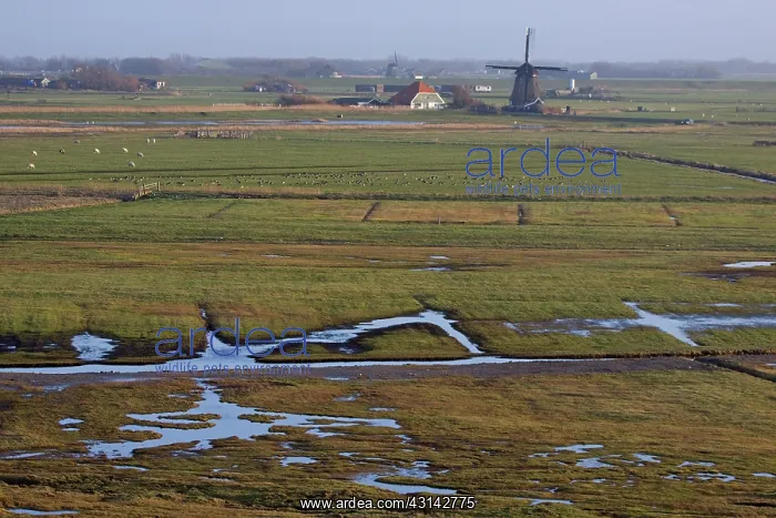  : Overview of landscape with mills and farms