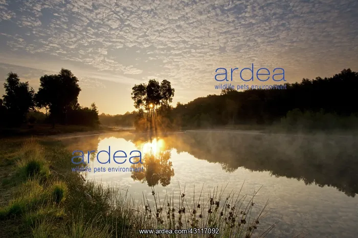 : Overview of landscape during sunrise with reflection of unid : Overview of landscape during sunrise with reflection of unid