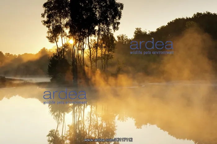  : Overview of landscape during sunrise with reflection of unid