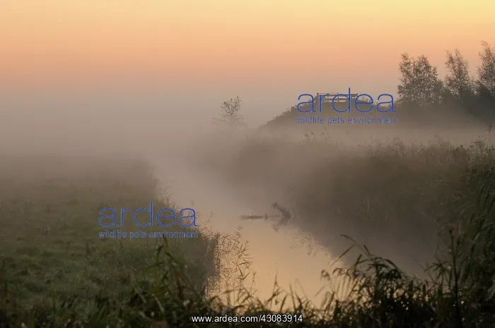 : Overview of landscape with viewpoint Blikplaatgat at sunrise : Overview of landscape with viewpoint Blikplaatgat at sunrise