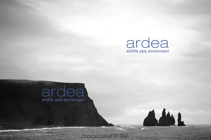  : Overview of the Reynisdrangar seastacks near Vik