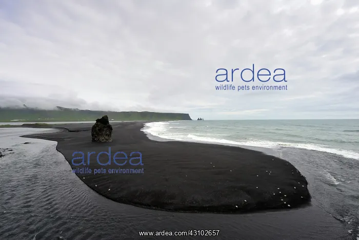 : Overview of the Reynisfjara beach near Vik, Iceland : Overview of the Reynisfjara beach near Vik, Iceland