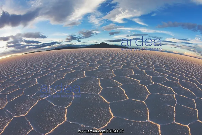 : Overview of salt flat with salt hexagon patterns at sunset : Overview of salt flat with salt hexagon patterns at sunset