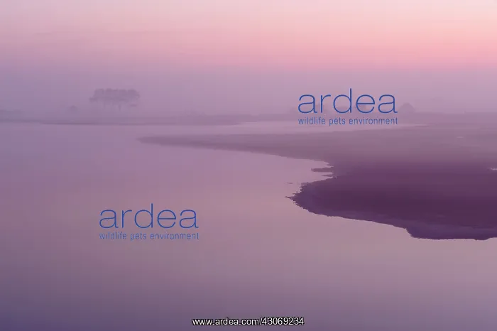 : Overview of saltmarsh at Moriaanshoofd : Overview of saltmarsh at Moriaanshoofd
