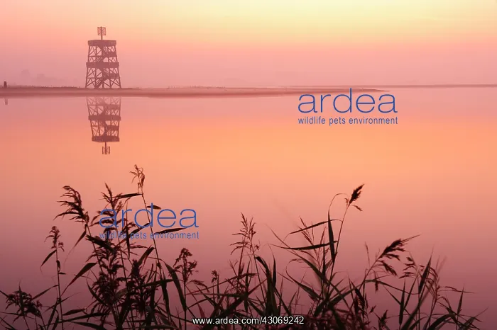 : Overview of saltmarsh with watchtower at Moriaanshoofd : Overview of saltmarsh with watchtower at Moriaanshoofd
