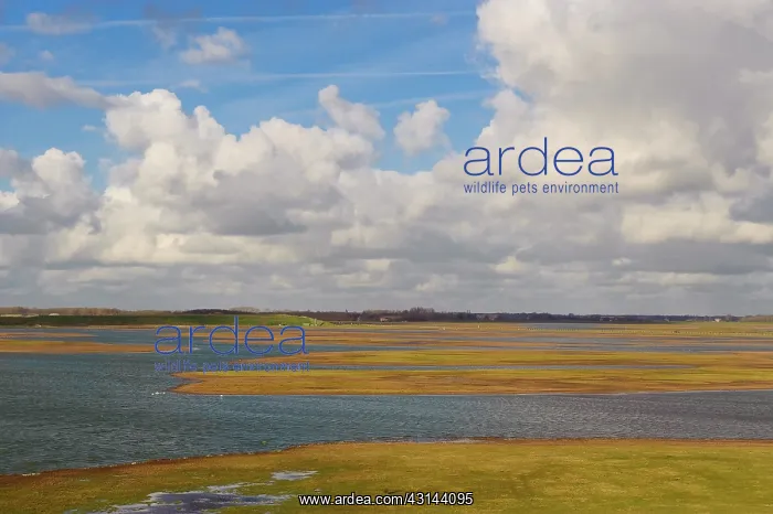  : Overview of Saltmarsh of Zuidkust Schouwen nature reserve in