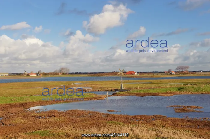  : Overview of Saltmarsh of Zuidkust Schouwen nature reserve in