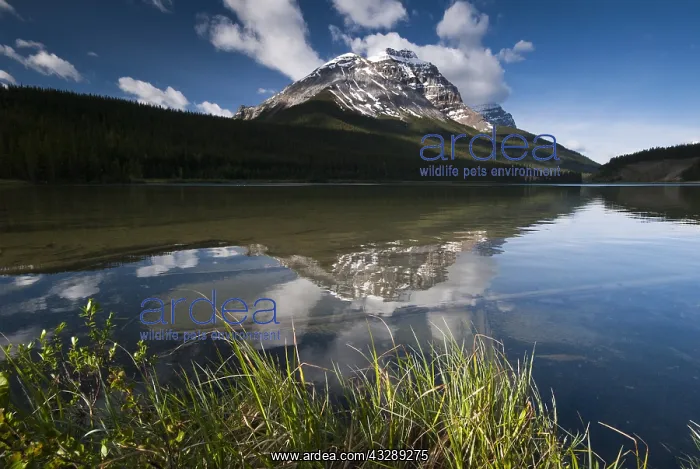 : Overview of Wapta Lake, Canada, British Columbi : Overview of Wapta Lake, Canada, British Columbi