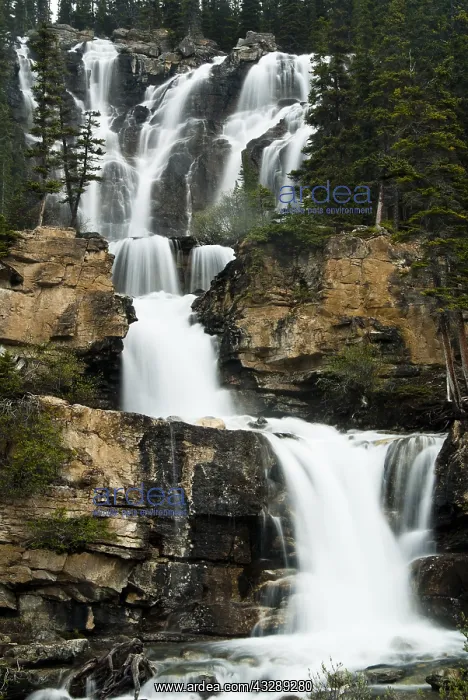 : Overview of waterfall, Canada, Alberta, Banff N : Overview of waterfall, Canada, Alberta, Banff N