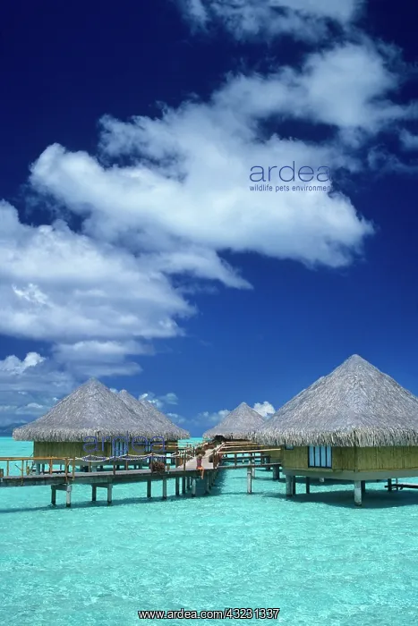 : Overwater bungalows at the Moana Beach Park : Overwater bungalows at the Moana Beach Park