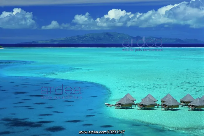 : Overwater bungalows of Moana Beach Park : Overwater bungalows of Moana Beach Park