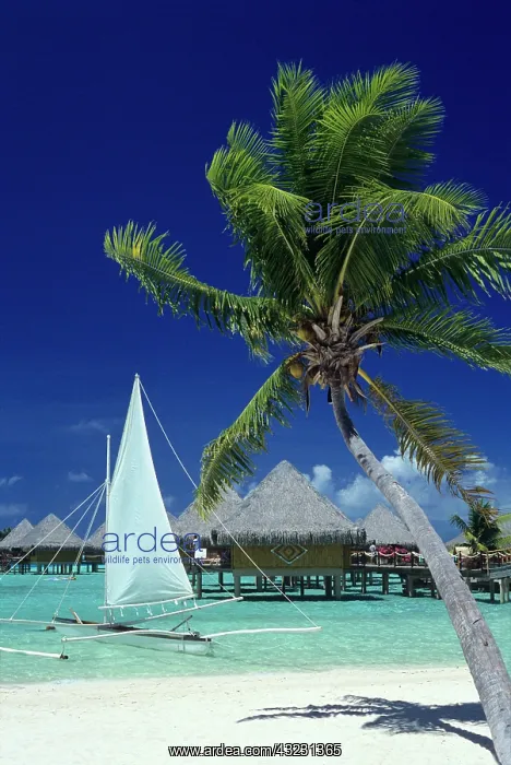  : Overwater bungalows at the Moana Beach Park
