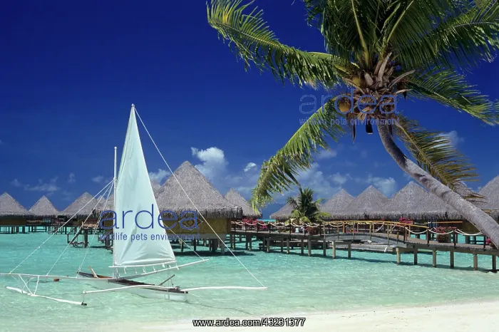 : Overwater bungalows of the Moana Beach Park : Overwater bungalows of the Moana Beach Park