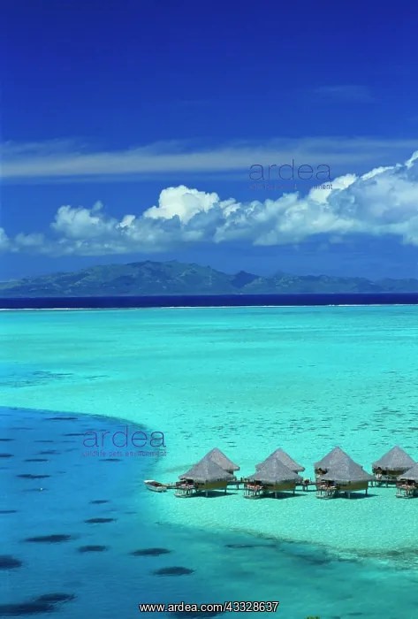 : Overwater bungalows of Moana Beach Park : Overwater bungalows of Moana Beach Park