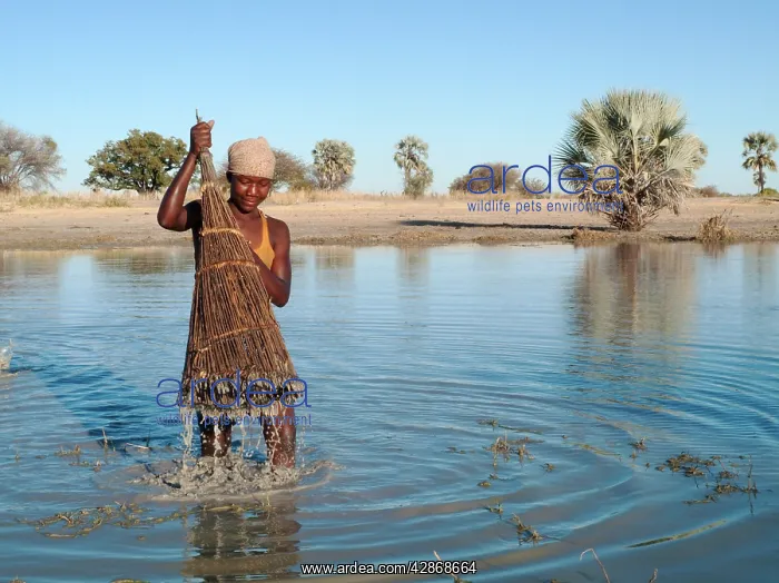 : Owambo girl fishing in a shallow pool (oshana) : Owambo girl fishing in a shallow pool (oshana)
