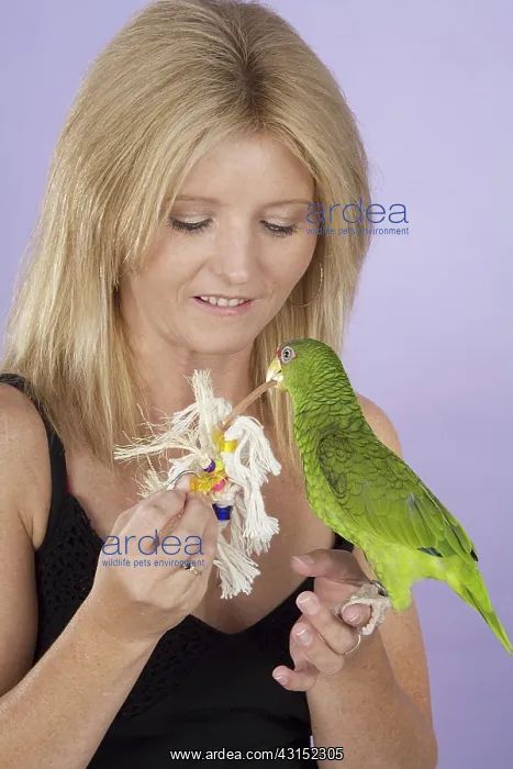 : Owner with White-fronted Amazon Parrot : Owner with White-fronted Amazon Parrot