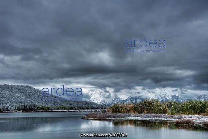  : Oxbow Bend with Autumn (Fall) colour and early snow