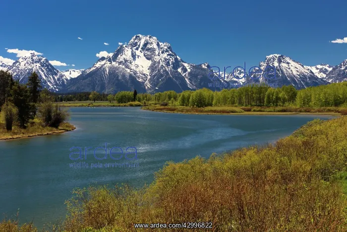  : Oxbow Bend - on the Snake River in June Grand Teton