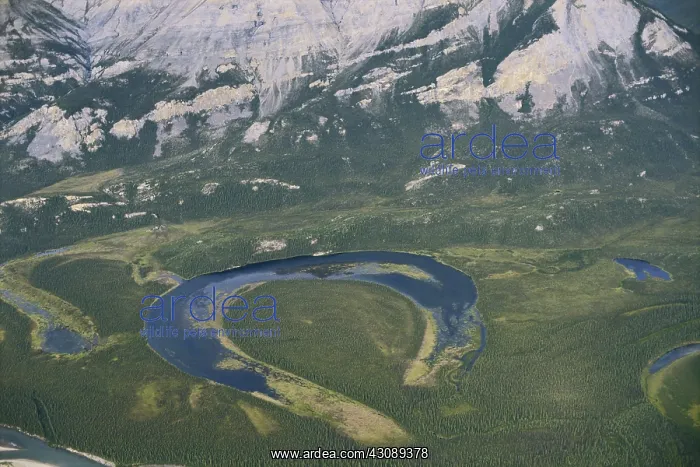 : Oxbow Lake in Alaska : Oxbow Lake in Alaska