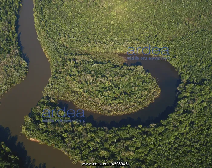 : Oxbow Lake in South Carolina : Oxbow Lake in South Carolina