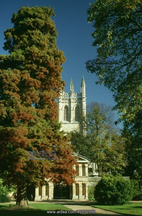  : Oxford Botanic Gardens, UK