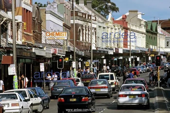 : Oxford Street, Paddington Sydney : Oxford Street, Paddington Sydney