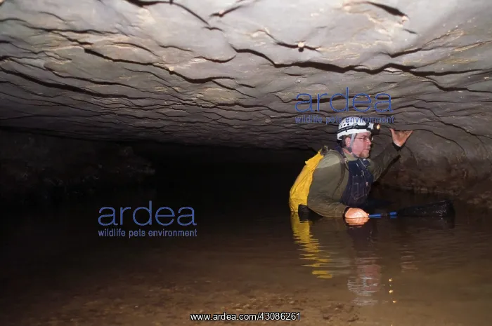 : Ozark Cave : Ozark Cave