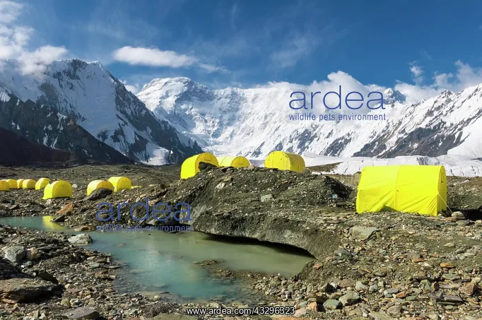 : Pabeda-Khan Tengry glacier massif, View from Base : Pabeda-Khan Tengry glacier massif, View from Base