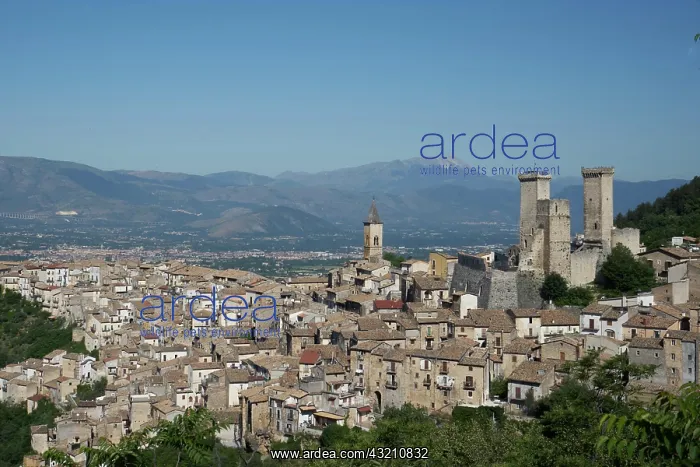 : Pacentro with the ruins of Castello Caldora, Cas : Pacentro with the ruins of Castello Caldora, Cas