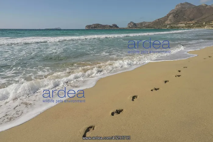 : Pachia Ammo sandy beach, Falassarna, Crete, Greece : Pachia Ammo sandy beach, Falassarna, Crete, Greece