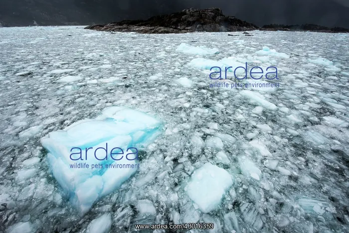 : Pack Ice of Amalia / Skua Glacier with mountains : Pack Ice of Amalia / Skua Glacier with mountains