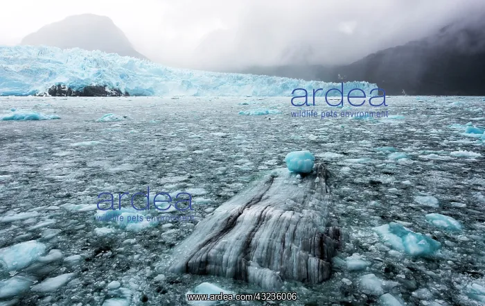 : Pack Ice of Amalia / Skua Glacier with mountains : Pack Ice of Amalia / Skua Glacier with mountains