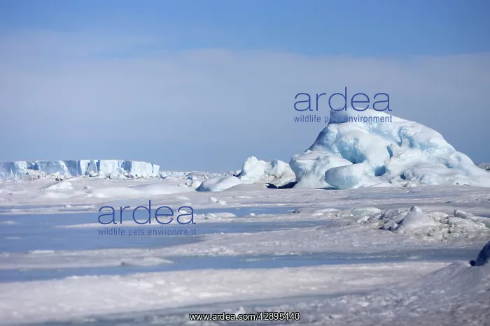  : Pack Ice in Antarctica
