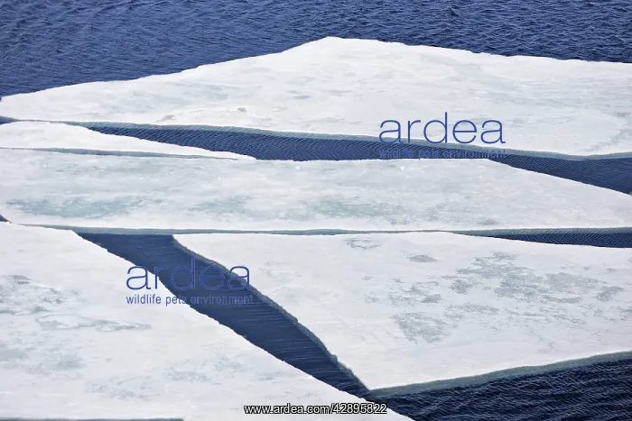  : Pack Ice in Antarctica