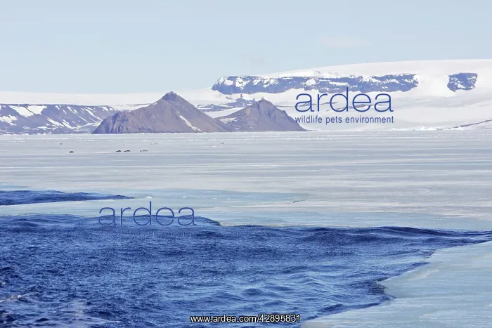  : Pack Ice in Antarctica