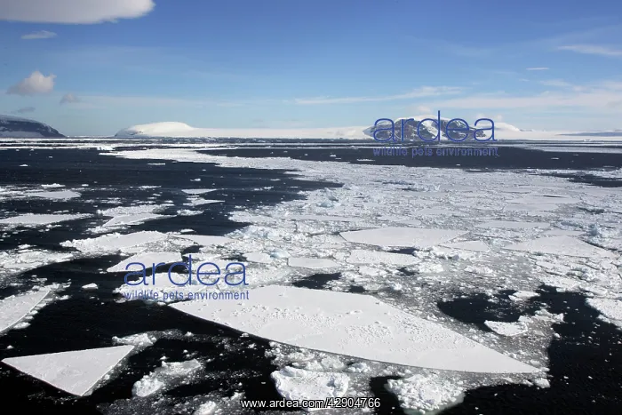  : Pack Ice in Antarctica
