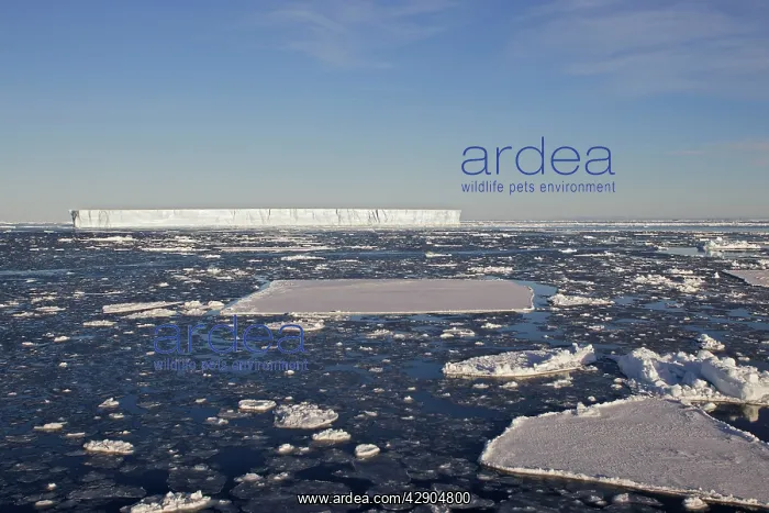  : Pack Ice in Antarctica