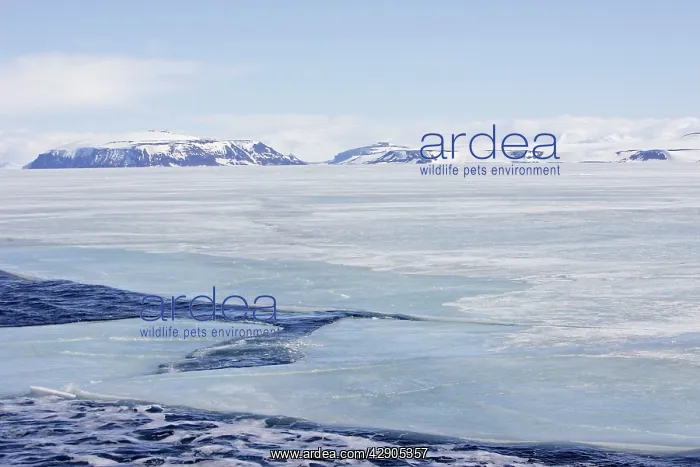  : Pack Ice in Antarctica
